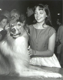 Lassie always won awards at the animal award ceremonies.