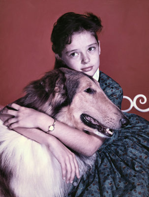 The beginning of my love of collies.