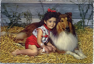 This collie is bigger than I was. 