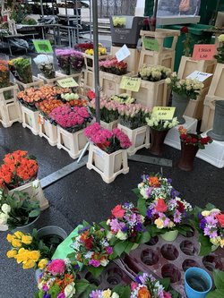 Flowers in the Salzburg Market