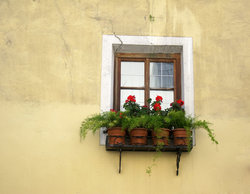 Austrian window