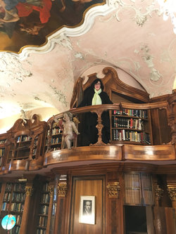 Schloss Leopoldskron Library