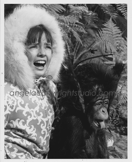 Angela Cartwright Studio