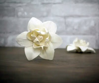 Nova Flower