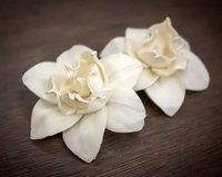Nova Flower