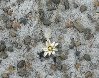 Edelweiss Blossom Set ♥ #13