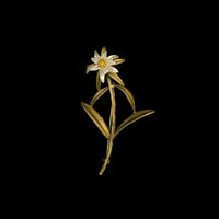 Edelweiss Grow Brooch ♥ #11