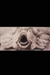 fish etching #110
