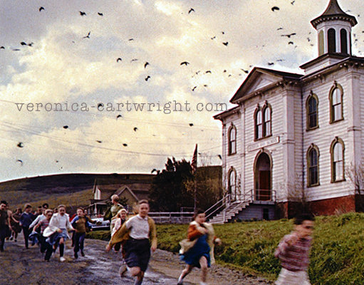 #66 The Birds running