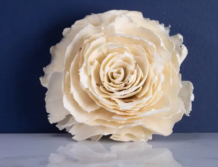 Dorothy Flower