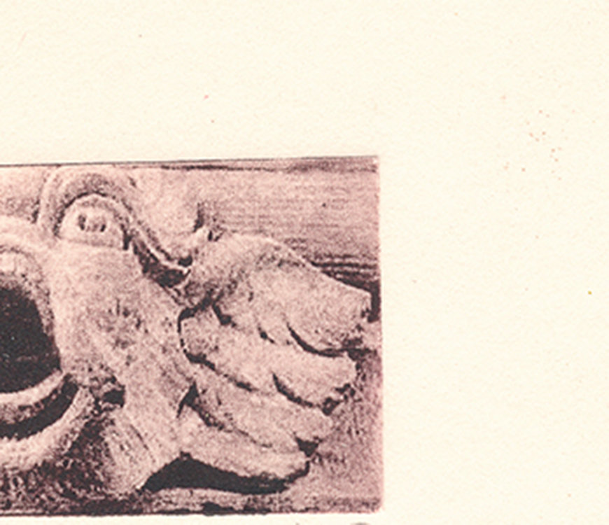 fish etching