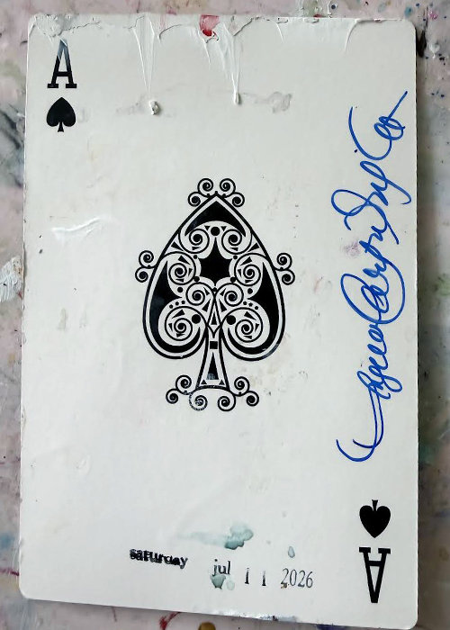 Wildcards ACE of spades - original