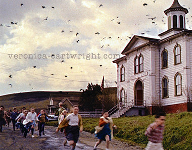 #66 The Birds running