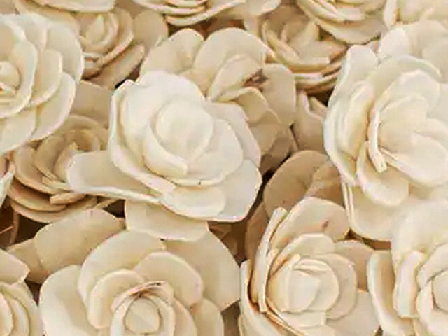 Betty Flower