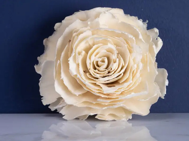Dorothy Flower