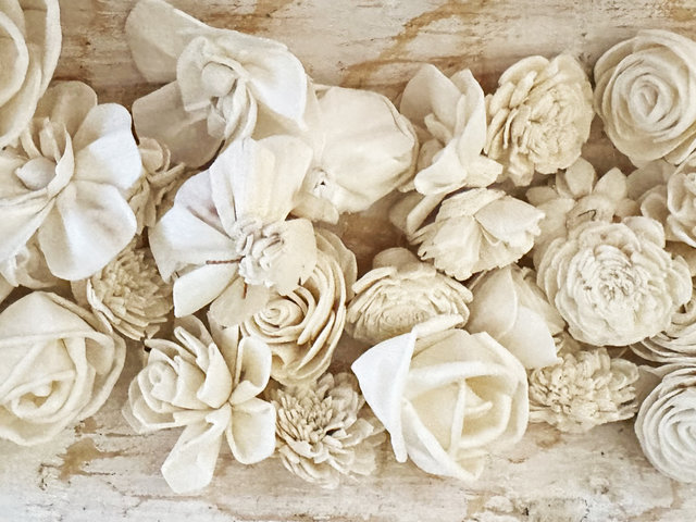 Flora Flowers