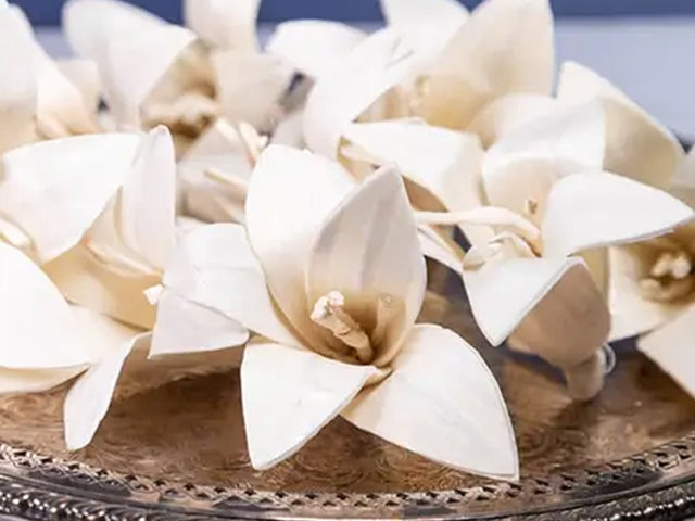 Lily Flower