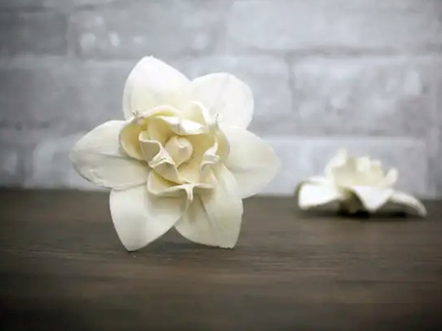 Nova Flower