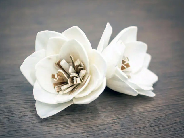 Twilight Flower