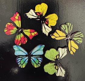 Butterfly Button