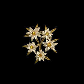 Edelweiss Greet Mi Brooch & Necklace ♥ #12